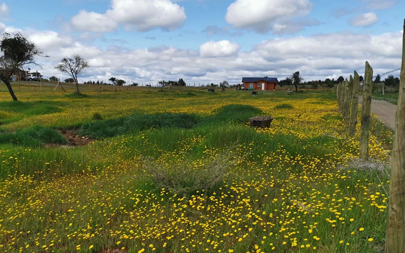 Parcela Ñuble